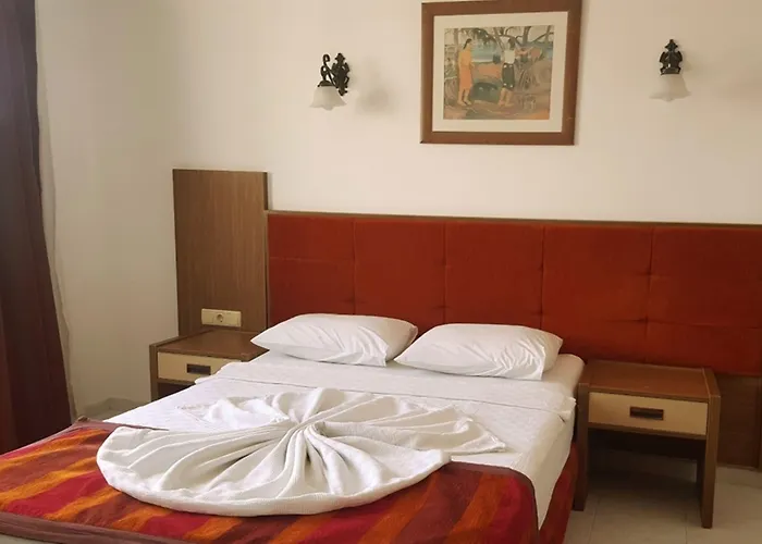 公寓式酒店 Carmen 阿拉尼亚